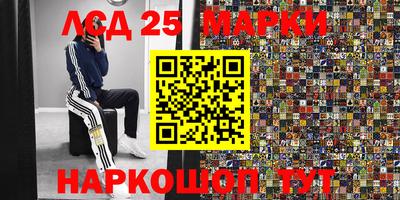 ешки Кингисепп