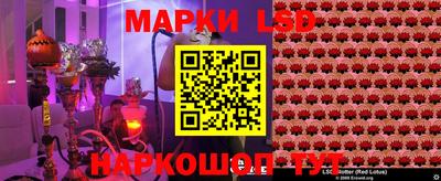ешки Кингисепп