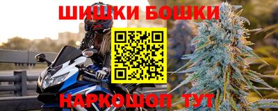 ешки Кингисепп