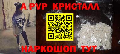 ешки Кингисепп