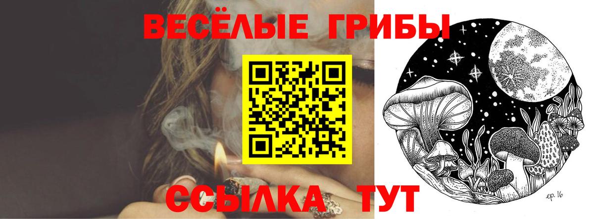 Кудрово  где продают   Вход с VPN  Псилоцибиновые грибы Cubensis 
