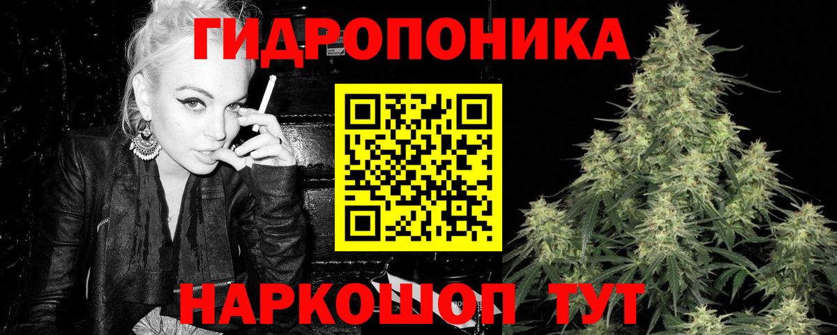 Каннабис Amnesia  Каннабис White Widow  Вход с VPN  Бошки марихуана White Widow  Кудрово 